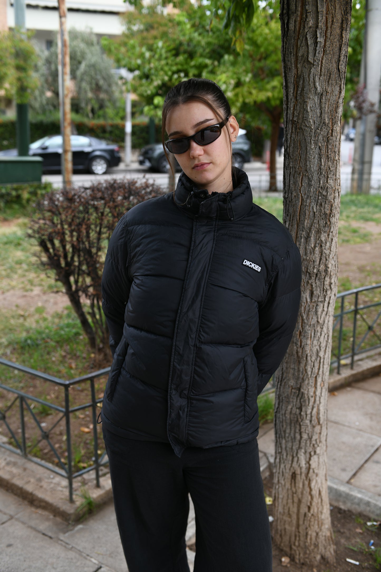 Dickies Puffer (M)